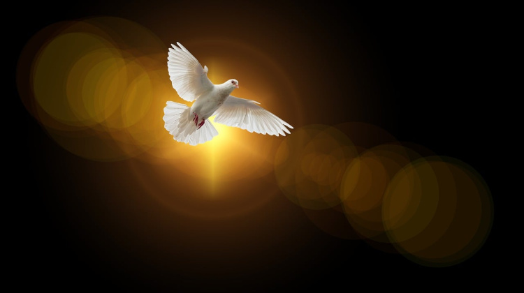 Tummaa taivasta vasten lentää valkoinen kyyhky, joka on kristillisessä kuvastossa Pyhän Hengen symboli.