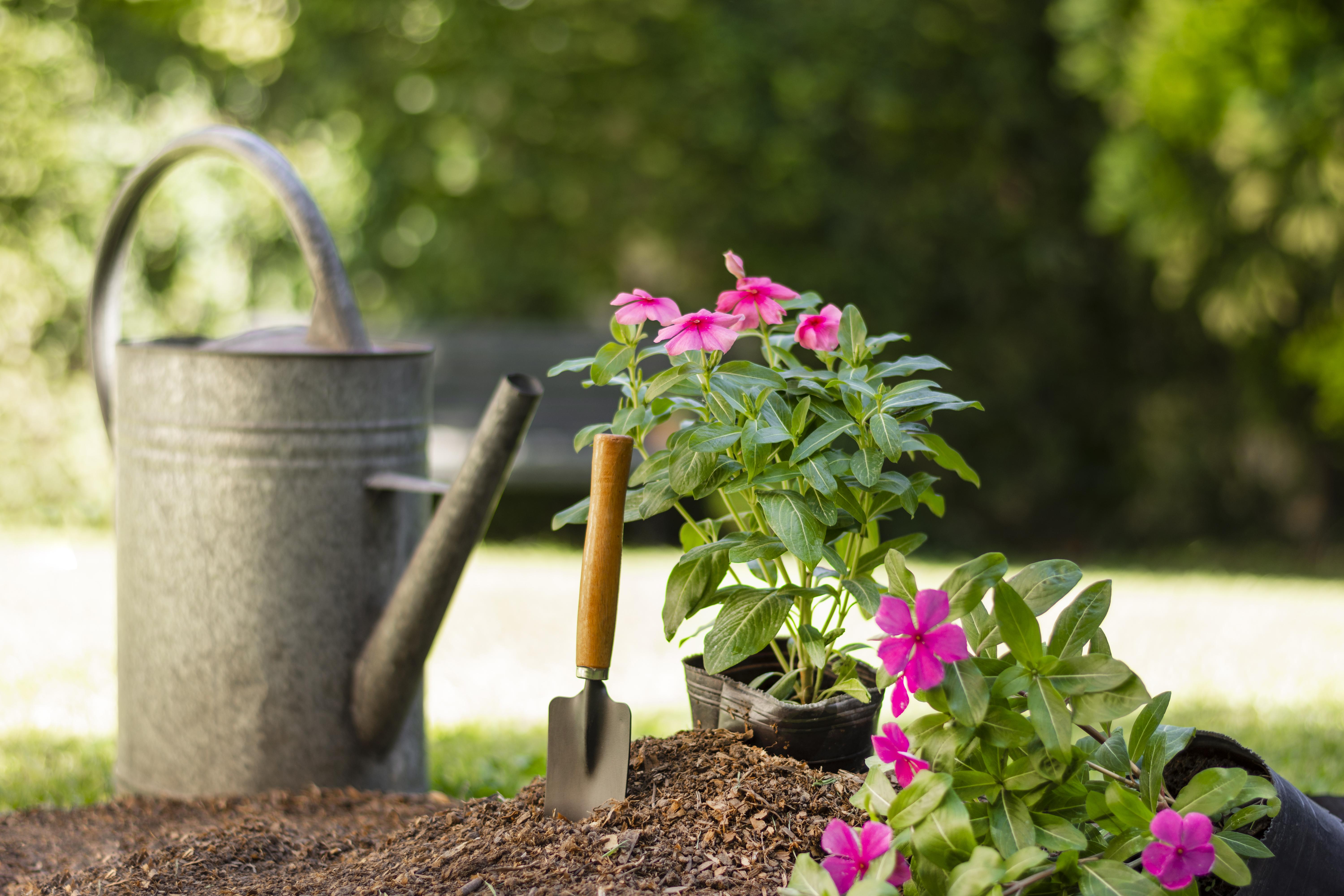 plants-gardening-tools-close-up.jpg