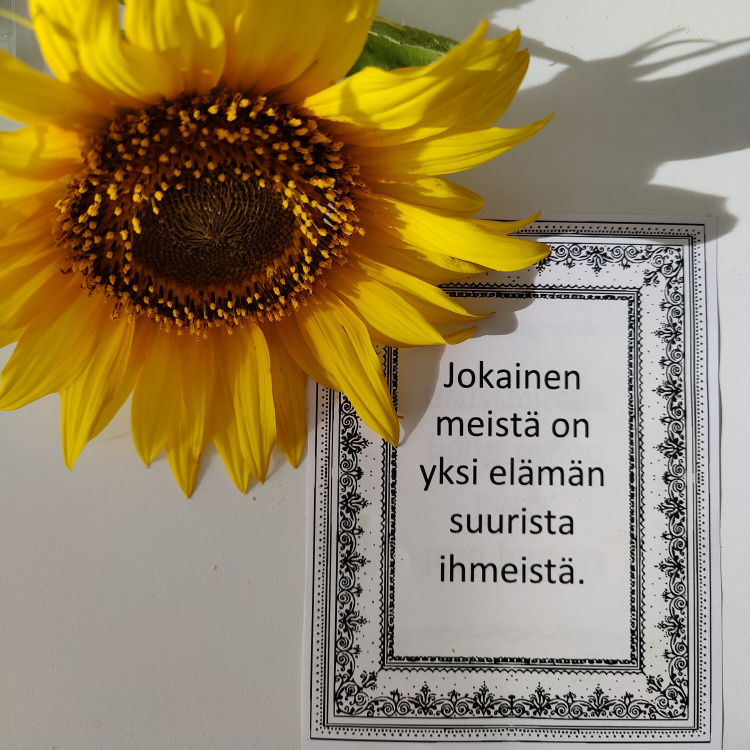 Päiväpiiri jokainen meistä on yksi elämän suurista ihmeistä
