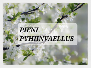 Kuvassa omenapuun kukkia sinistä taivasta vasten. Kuvan keskellä teksti Pieni Pyhiin vaellus.